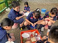 童軍團露營活動